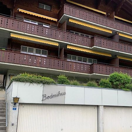 Luxury, New - Amazing Views Grindelwald Eiger Jungfrau Moench Exterior foto
