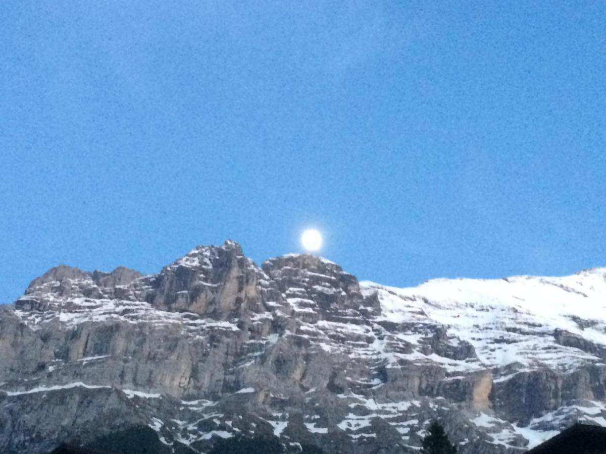 Luxury, New - Amazing Views Grindelwald Eiger Jungfrau Moench Exterior foto