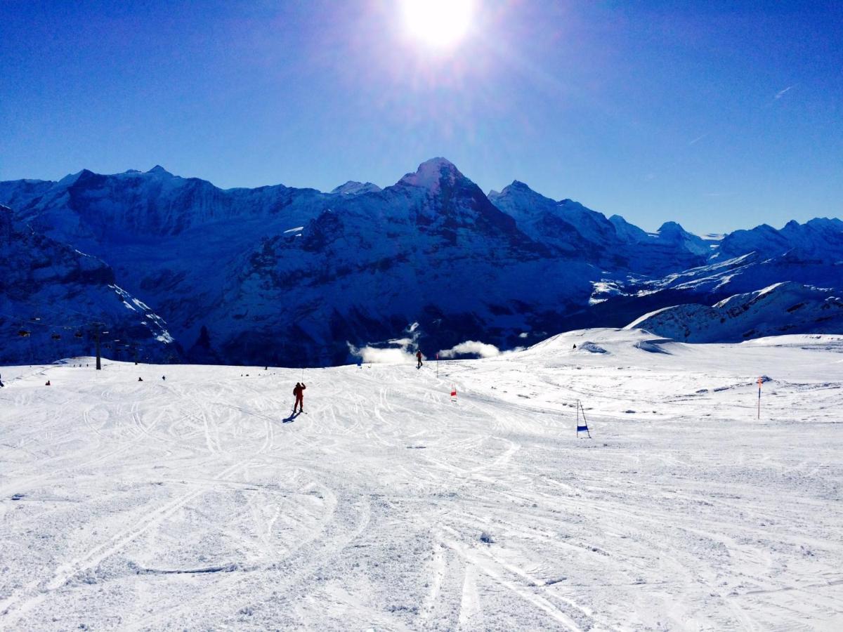 Luxury, New - Amazing Views Grindelwald Eiger Jungfrau Moench Exterior foto
