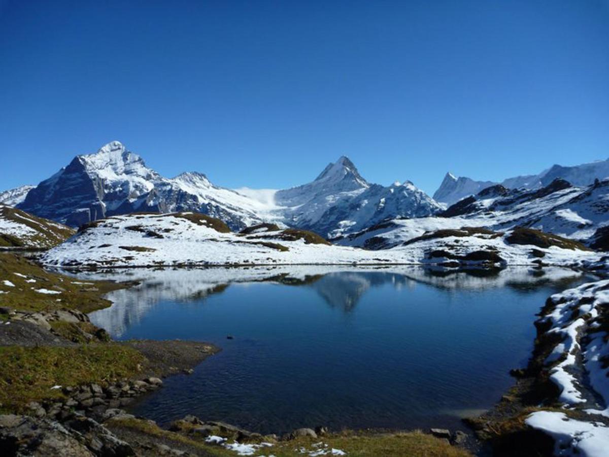 Luxury, New - Amazing Views Grindelwald Eiger Jungfrau Moench Exterior foto