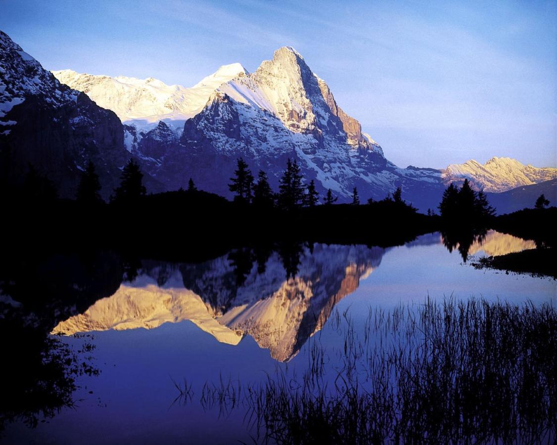Luxury, New - Amazing Views Grindelwald Eiger Jungfrau Moench Exterior foto